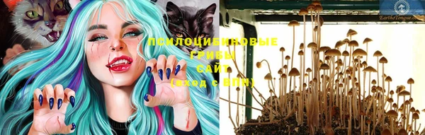 хмурый Абдулино