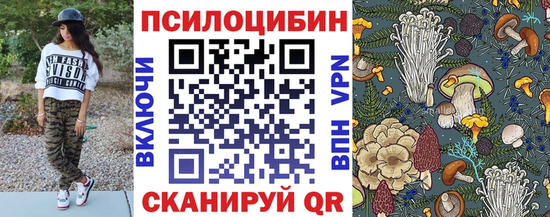 Галлюциногенные грибы прущие грибы Таганрог