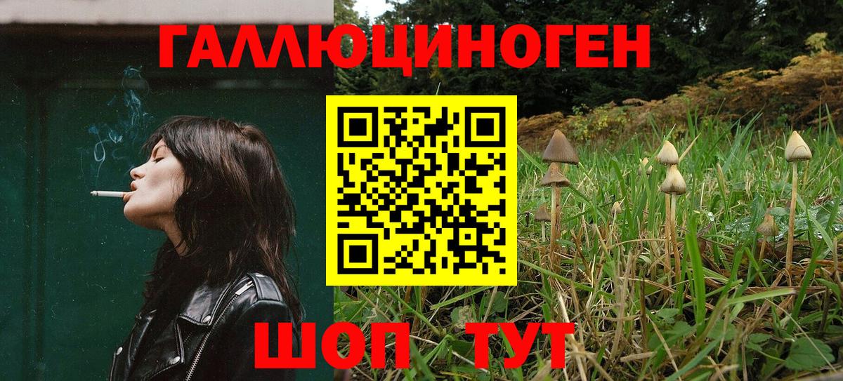 что такое   Галлюциногенные грибы прущие грибы  Вход с VPN  Таганрог 